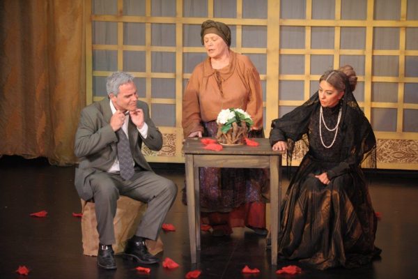 matomenos-gamos- (11)